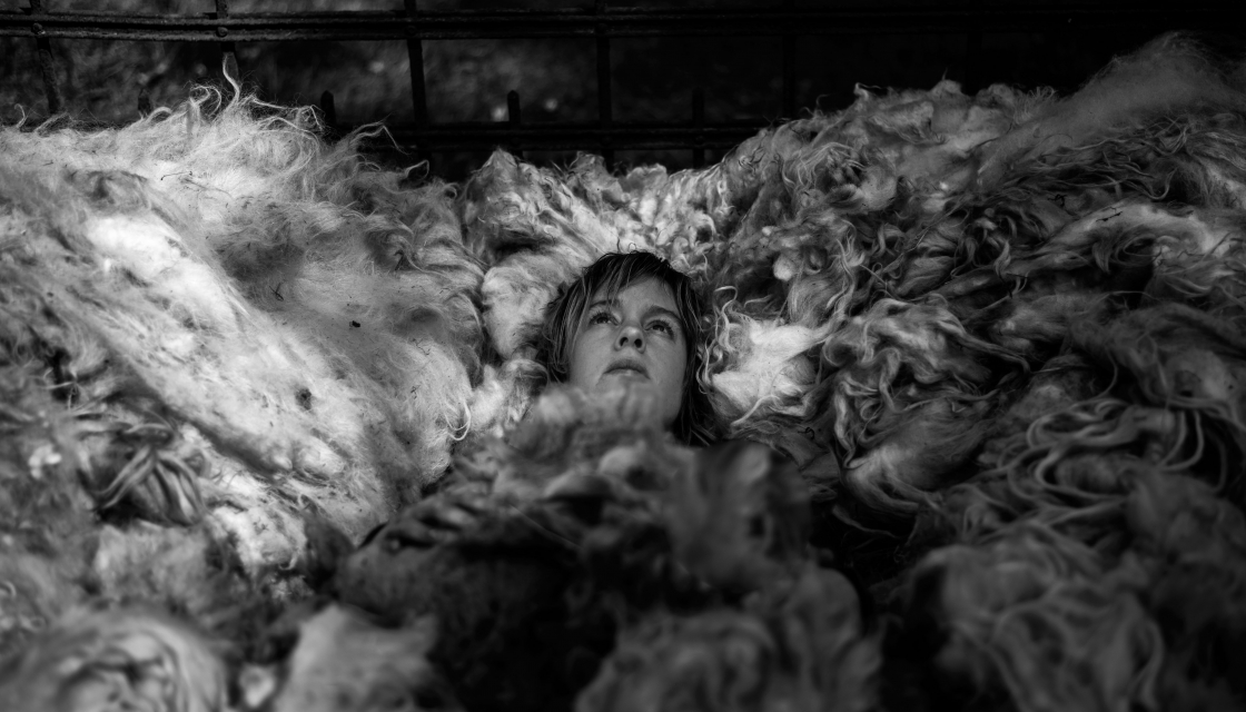 PRESENT 7: Berta Sichel presents “My Father Avoids the Sirens’ Song”