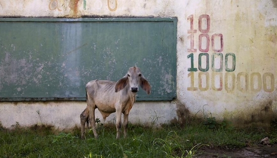 Juan Manuel Echavarria