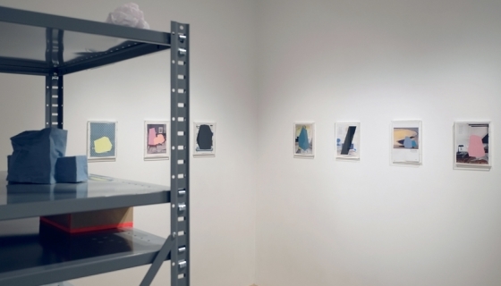 Project Space: Ricardo Alcaide, Incidental Geometry